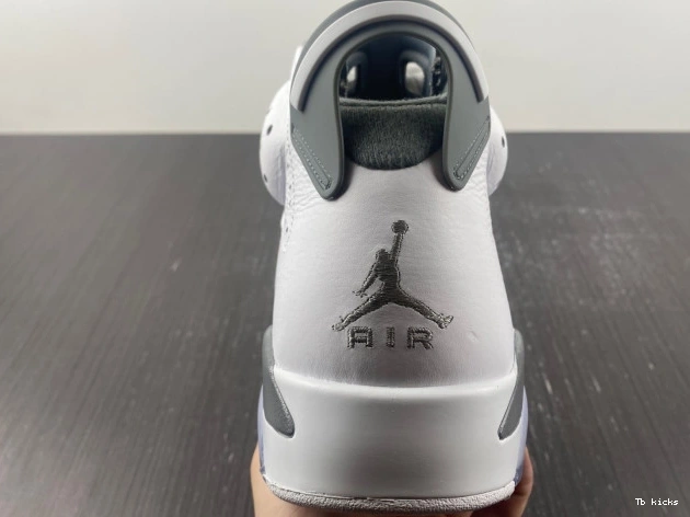 Reps TBK CT8529-100 Cool Jordan Grey Air 6 0709
